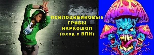 герыч Арсеньев