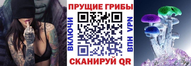 Псилоцибиновые грибы Psilocybe даркнет сайт Бикин